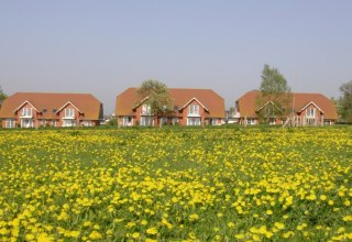 Gesamtansicht Ferienresidenz Am Salzhaff // &copy; Ferienresidenz Am Salzhaff