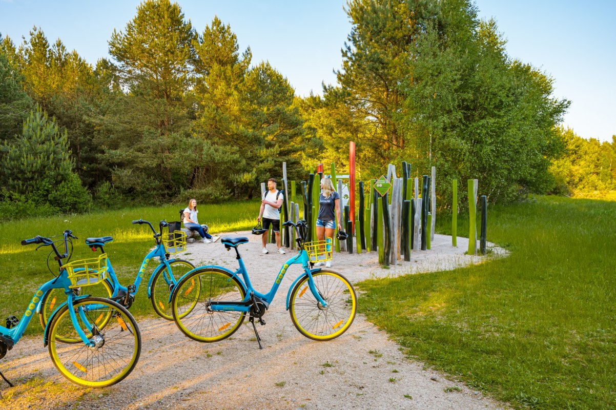 Giant meadow along the discovery trail in the Rostock Heath, &copy; TMV/Tiemann