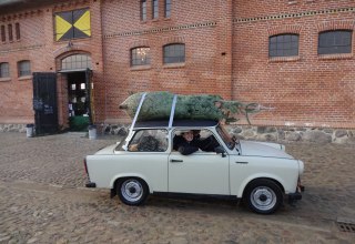 F&uuml;r jeden die richtige Weihnachtsbaumgr&ouml;&szlig;e. // &copy; Christian Schierning