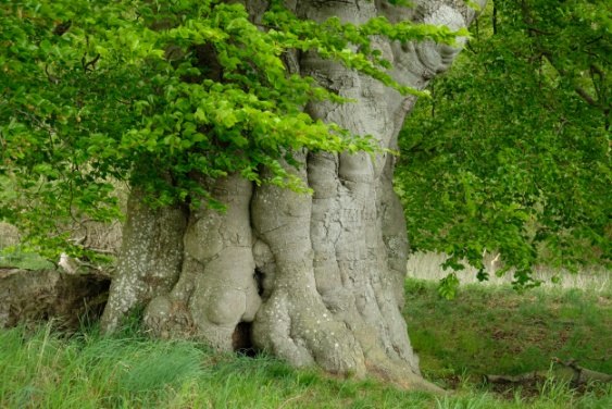 &copy; Evelin Kartheuser