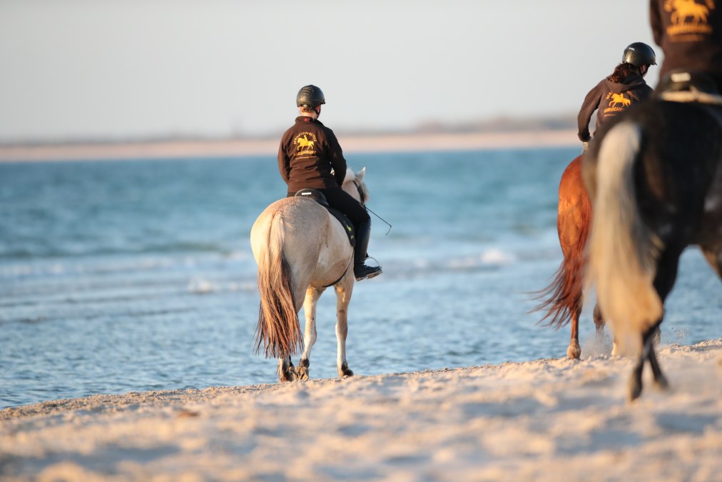 Paardrijden op het strand, © TMV/ACP Pantel