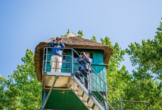 Vanaf de rieten observatiehut is het uitzicht op de duinen en Bodden, inclusief het vogelleven, bijzonder goed op Fischland-Darß-Zingst.