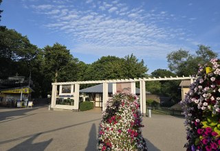 &copy; 20250807_073424.jpg