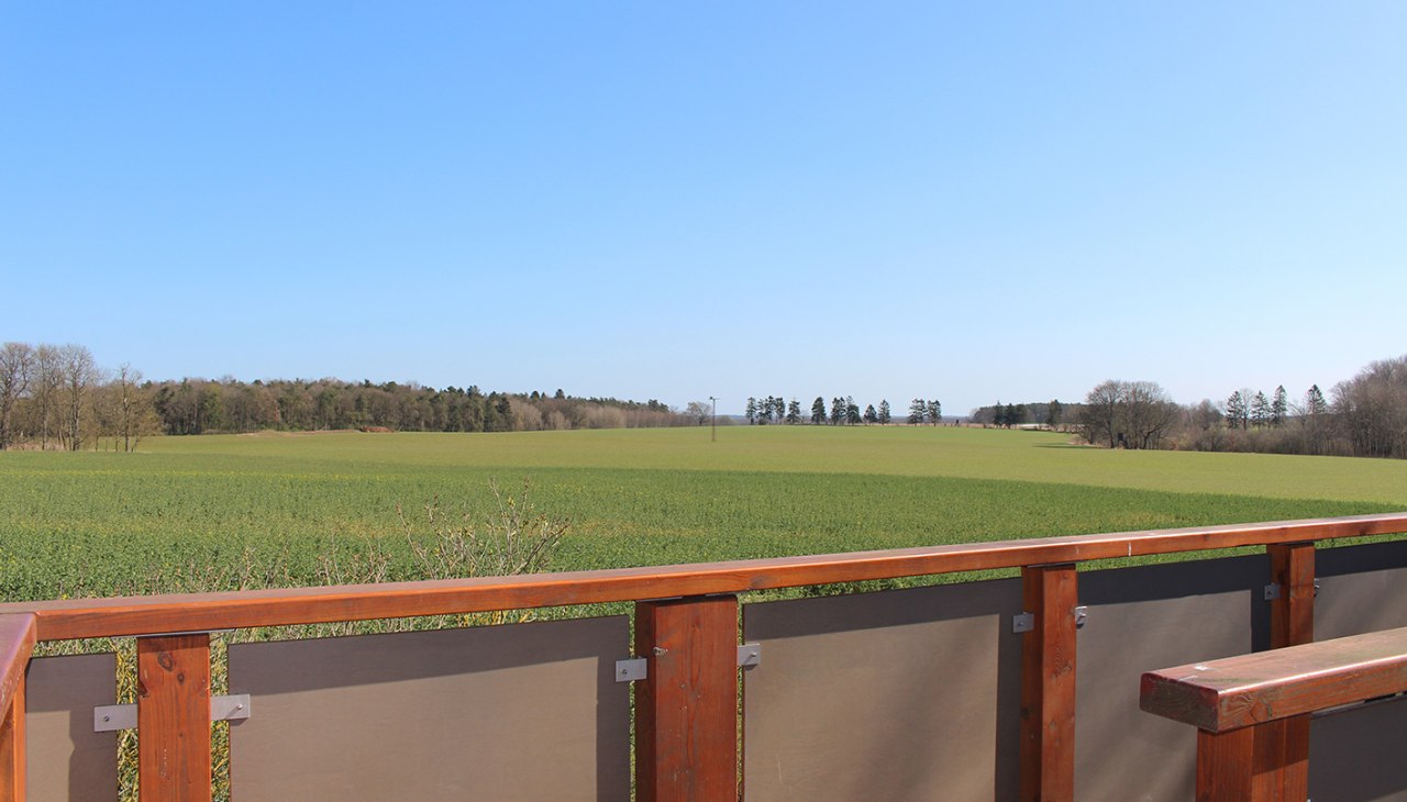 Widok z platformy w kierunku Adlerhorst, © Kur- und Tourismus GmbH Göhren-Lebbin Widok z platformy w kierunku Adlerhorst, © Kur- und Tourismus GmbH Göhren-Lebbin