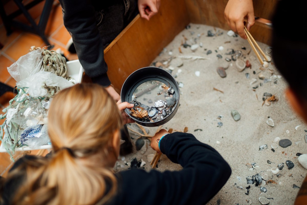 &copy; Nationalpark-Zentrum K&Ouml;NIGSSTUHL / Dan Petermann