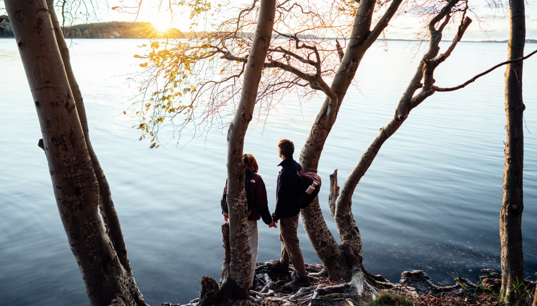 Paar hand in hand aan de oever van het meer tussen de bomen, starend naar de zonsondergang over het water. // Magische momenten in de natuur - een koppel geniet van de vredige avondsfeer tijdens een wandeling langs een helder meer in Mecklenburg-Vorpommern. // © MV-T/Gänsicke Paar hand in hand aan de oever van het meer tussen de bomen, starend naar de zonsondergang over het water.