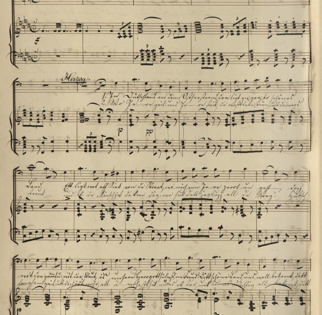 © Landesbibliothek Mecklenburg-Vorpommern Günther Uecker, Mus 1891/12 a © Landesbibliothek Mecklenburg-Vorpommern Günther Uecker, Mus 1891/12 a