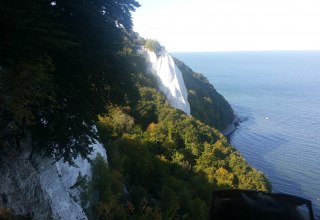 © Jan Dzarnowski © Jan Dzarnowski