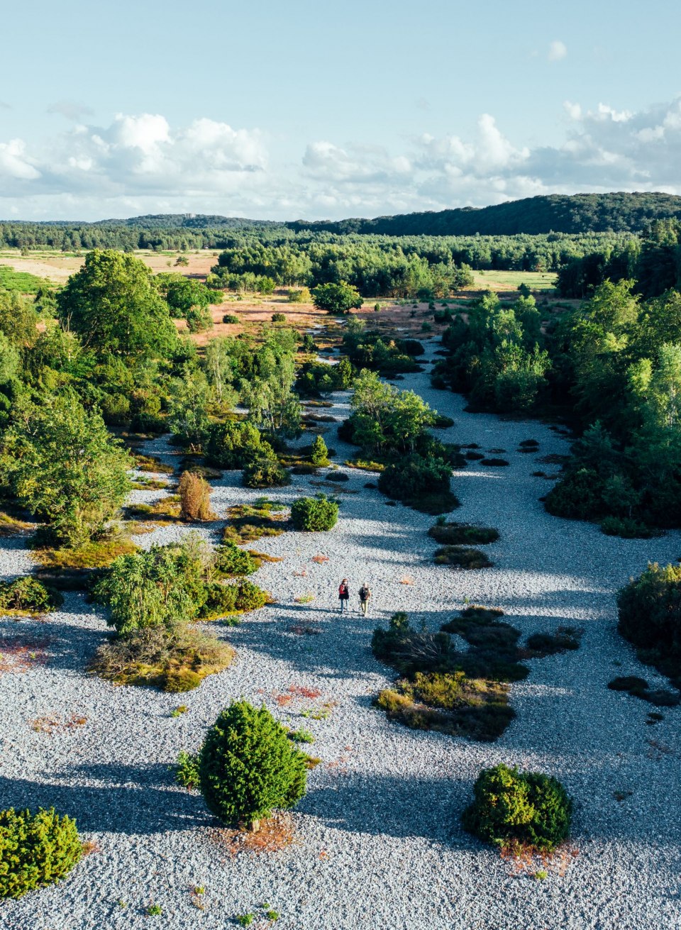 Flintstone fields near Mukran on Rügen with gravel areas, green vegetation and hikers in the middle of the heathland.