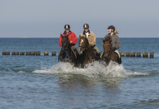 Beach riding in Mecklenburg-Vorpommern at Stolper Ort in Rostock Heath // &copy; MV-T/ Hafemann