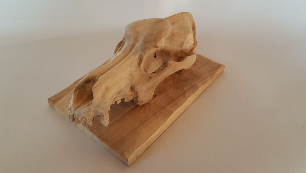 Schedel in hout, &copy; Felix Anders