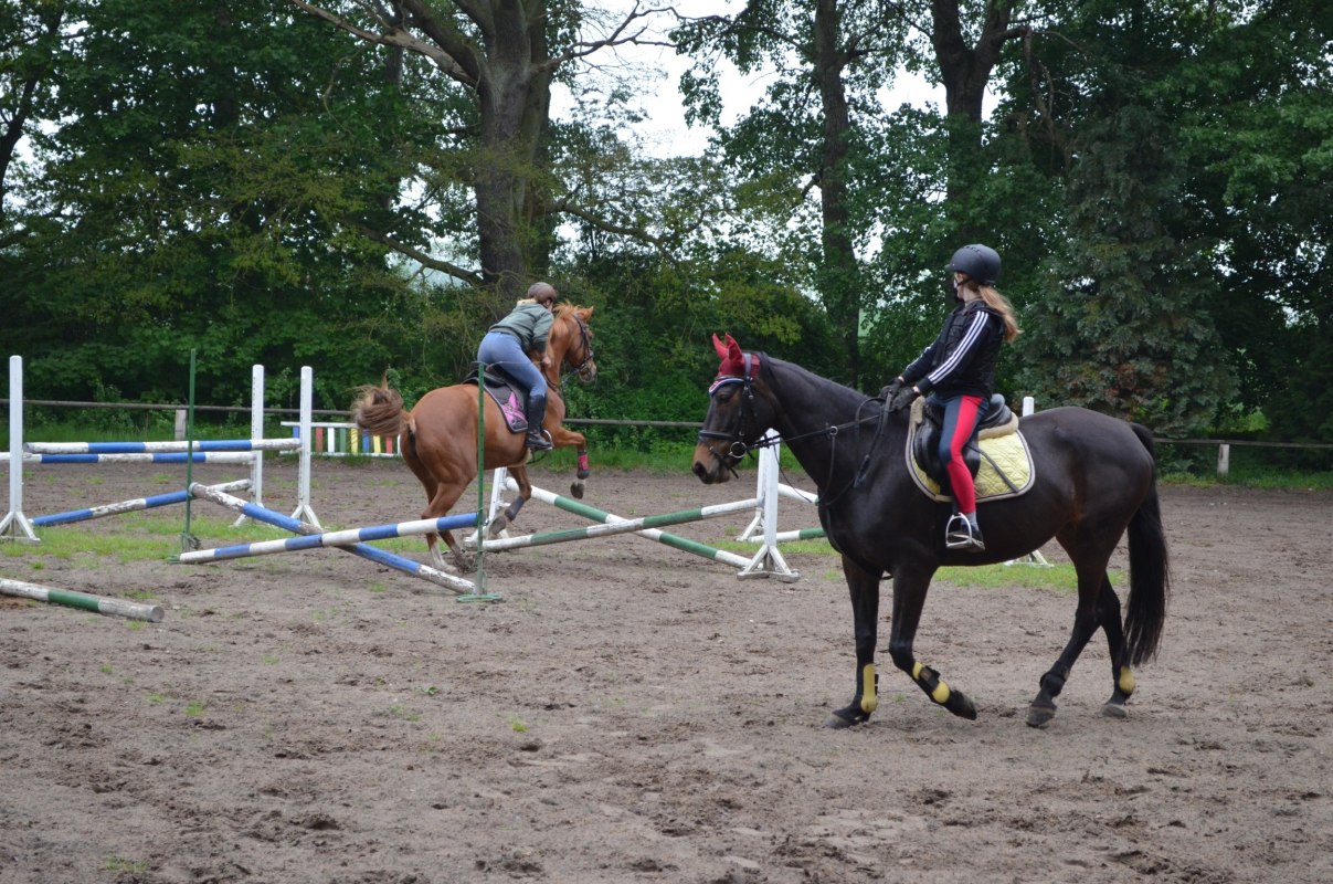 Bij de Daugzin Rij- en Menclub leer je paardrijden vanaf de basis., © Karoline Görs Bij de Daugzin Rij- en Menclub leer je paardrijden vanaf de basis., © Karoline Görs