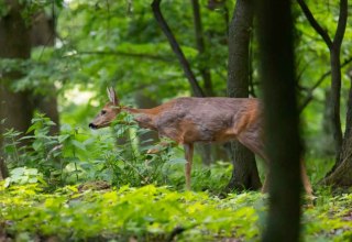 &copy; Erlebnis Akademie AG/NEZR