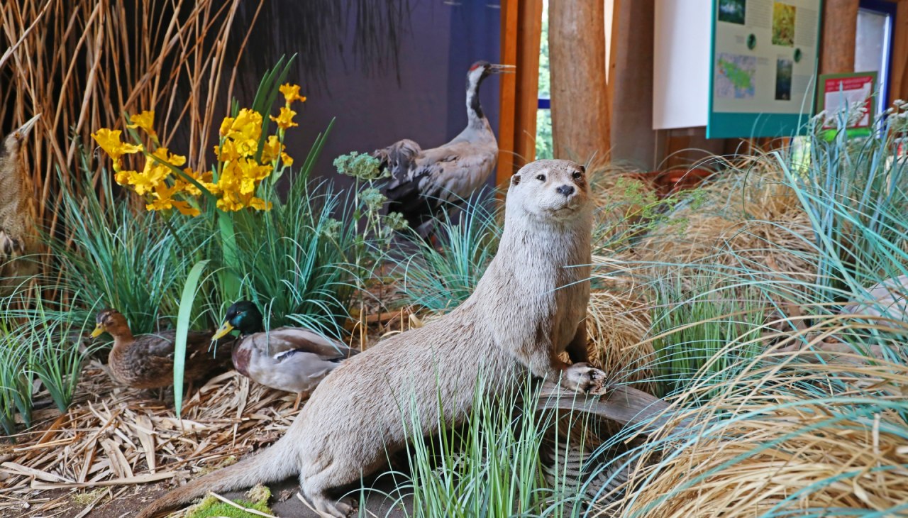 Centrum informacyjne Karower Meiler - wystawa, © TMV/Gohlke