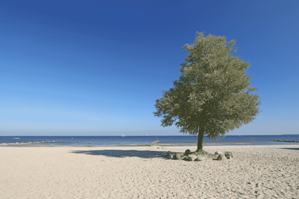 Plaża, © TMV/Gohlke Plaża, © TMV/Gohlke