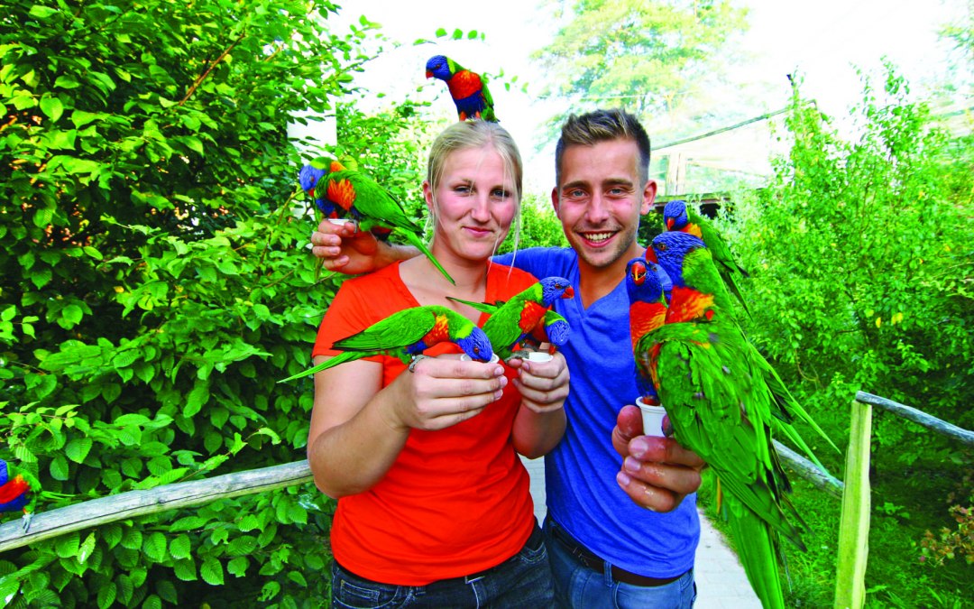 Bezoekers kunnen de Australische lori's voeren, © Vogelpark Marlow/Zöger