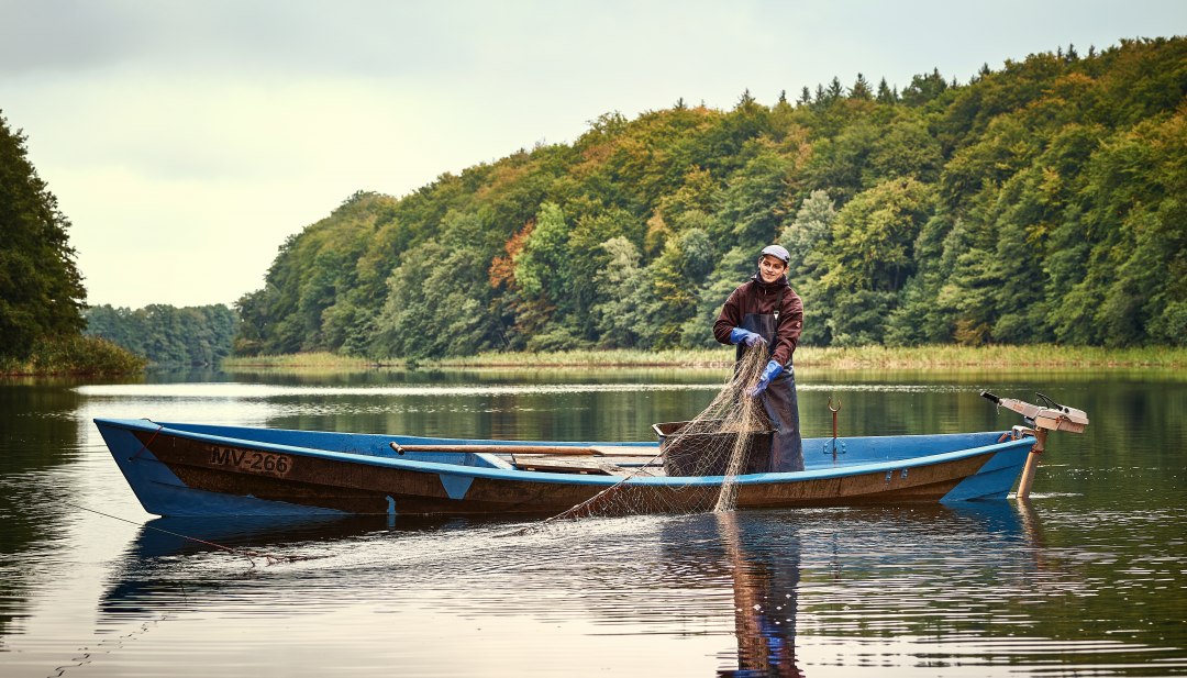 Fisherman in the Mecklenburg Lake District is pulling his nets onto the boat.