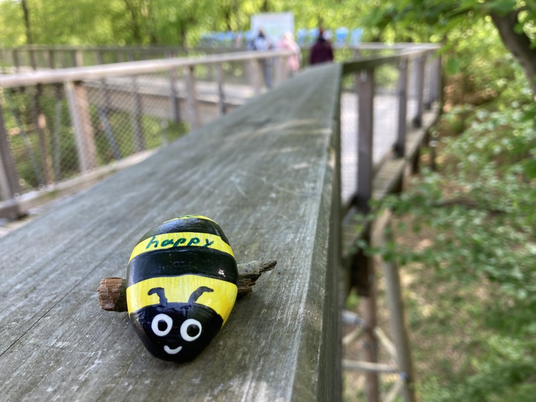 Bijendag op de boomtoppenwandeling in Usedom // &copy; Erlebnis Akademie AG / Baumwipfelpfad Usedom