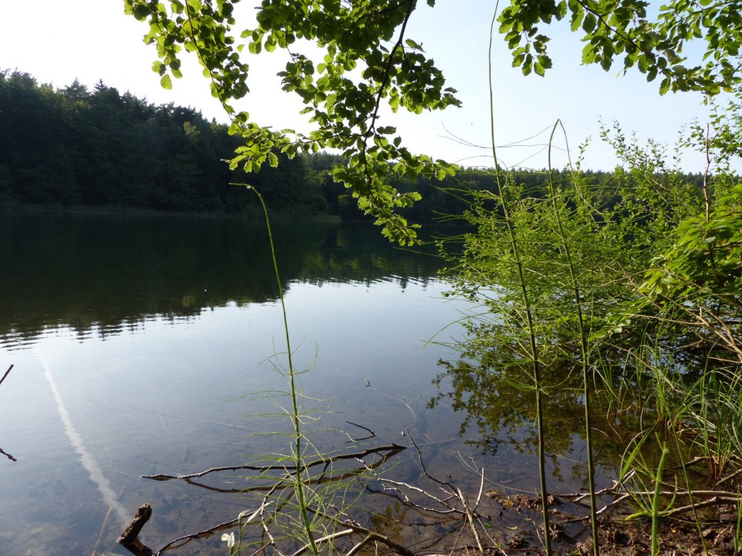 &copy; Bianca Schubert