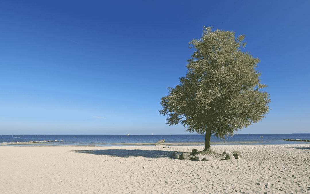 Strand, © TMV/Gohlke