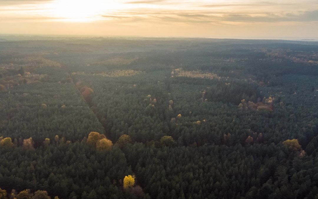DJI_0718, © Arndt Gläser