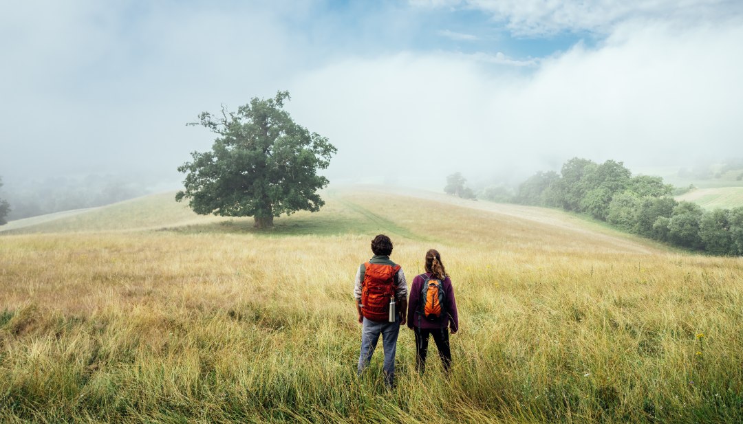 Het natuurparkpad in Mecklenburg Zwitserland - een koppel staat op een vlakke heuvel in de ochtendmist // Het natuurparkpad in Mecklenburg Zwitserland // © MV-T/Gänsicke Het natuurparkpad in Mecklenburg Zwitserland - een koppel staat op een vlakke heuvel in de ochtendmist