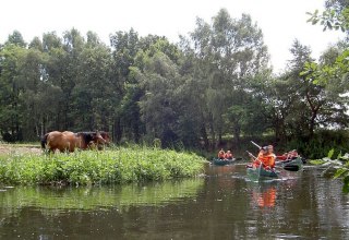 Natuurlijke idylle op de Alte Elde // &copy; Lewitzcamp Garwitz