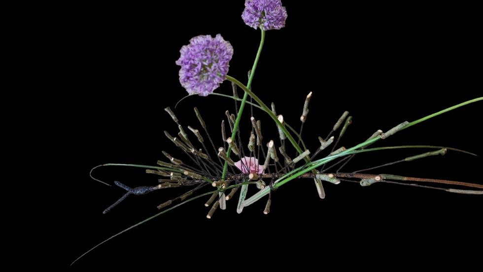 © Andreas Manczyk © Andreas Manczyk