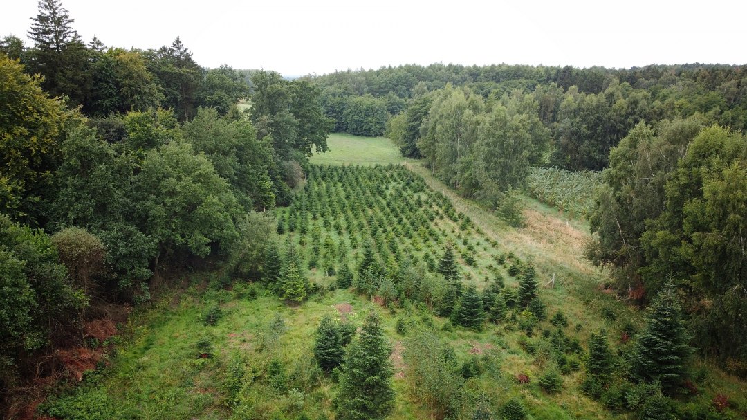 Klimaatbos Sehlen, © Landesforst MV