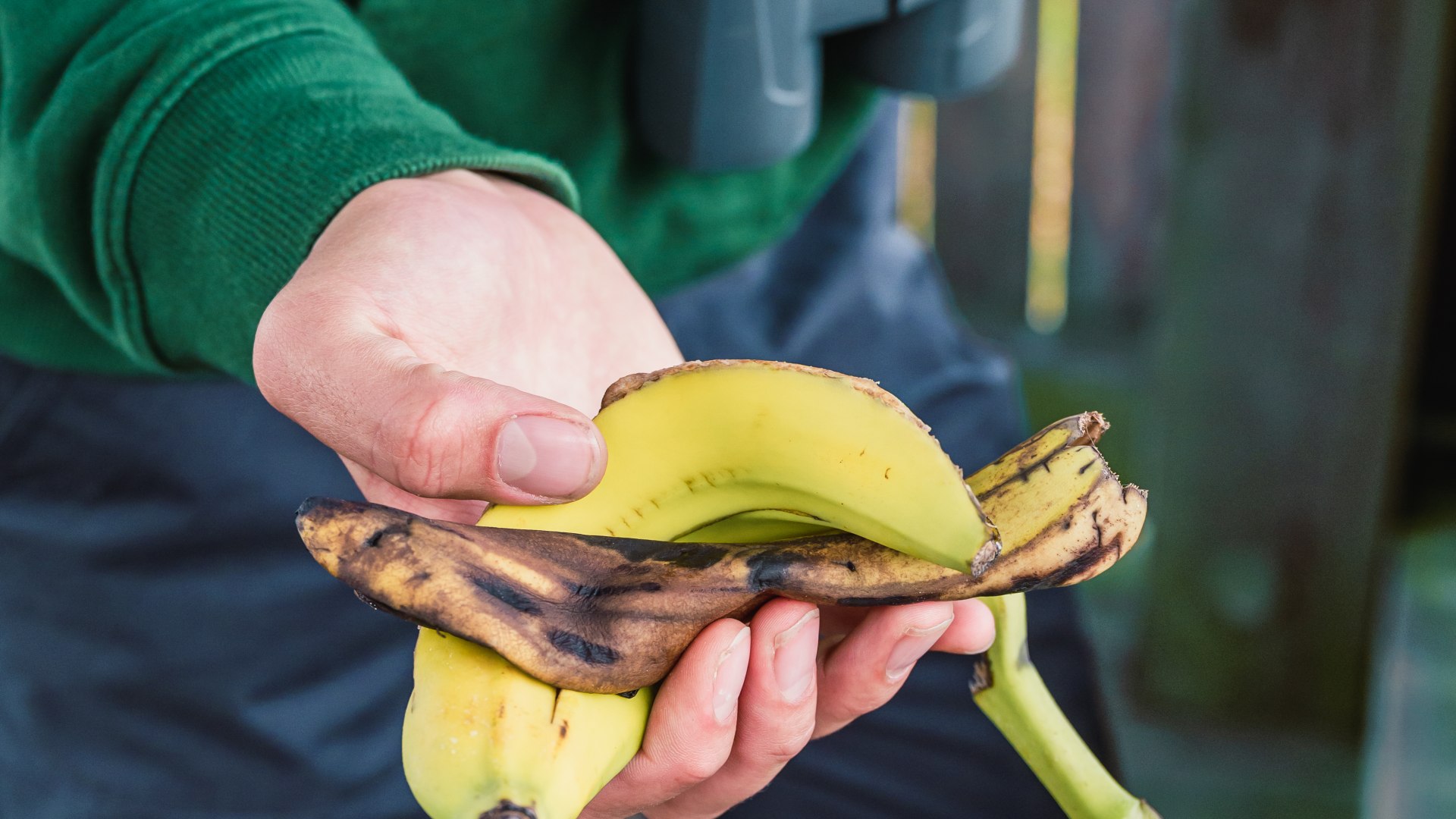 Bezoekers moeten hun afval meenemen en op de juiste manier weggooien. Een opgeraapte bananenschil in de hand.