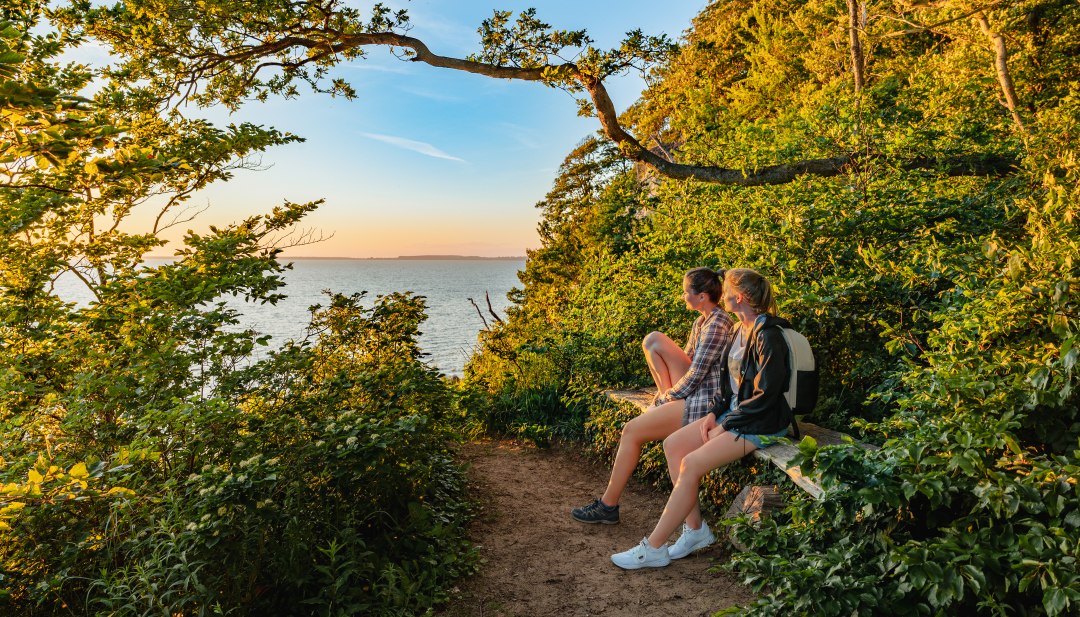 Two women sit in the forest on the cliffs and look out over the Bodden at sunset.