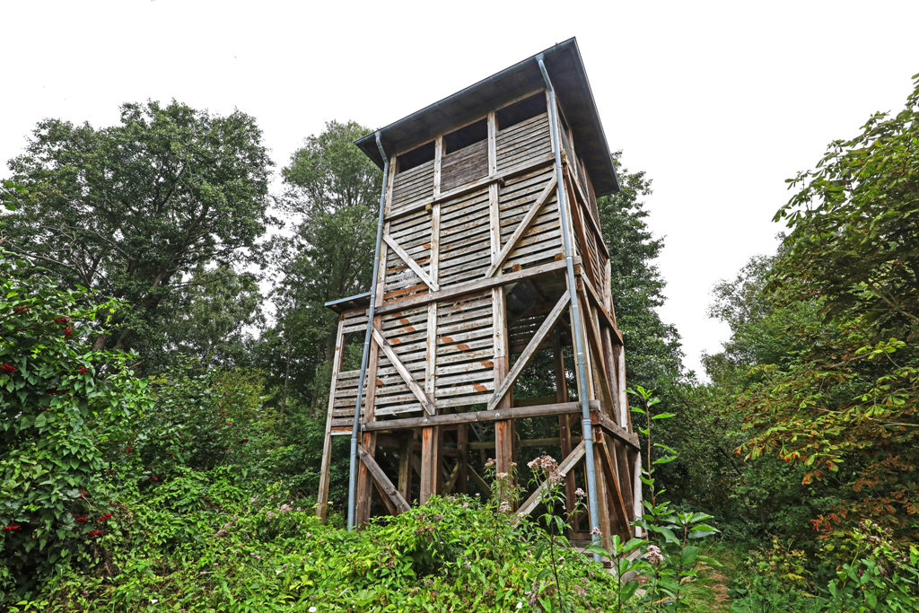 Moorochse observatietoren, © TMV/Gohlke