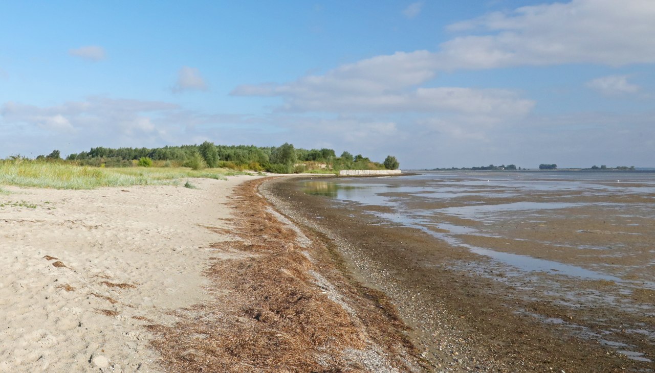 Naturstrand Wampen_1, © TMV/Gohlke Naturstrand Wampen_1, © TMV/Gohlke