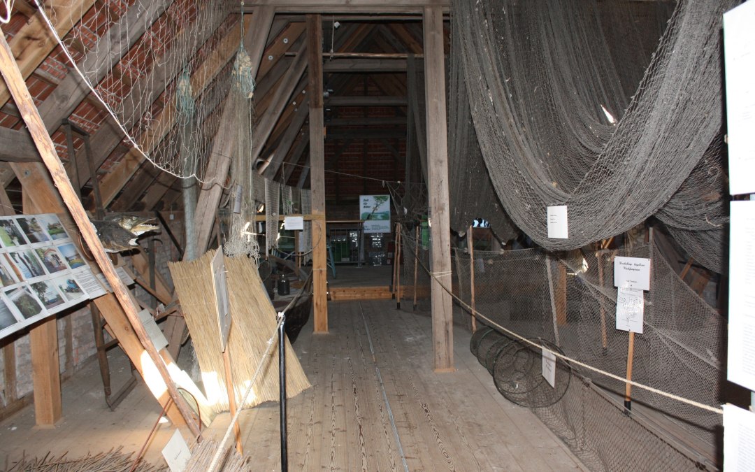 Fishing exhibition, © Amt Mecklenburgische Seenplatte