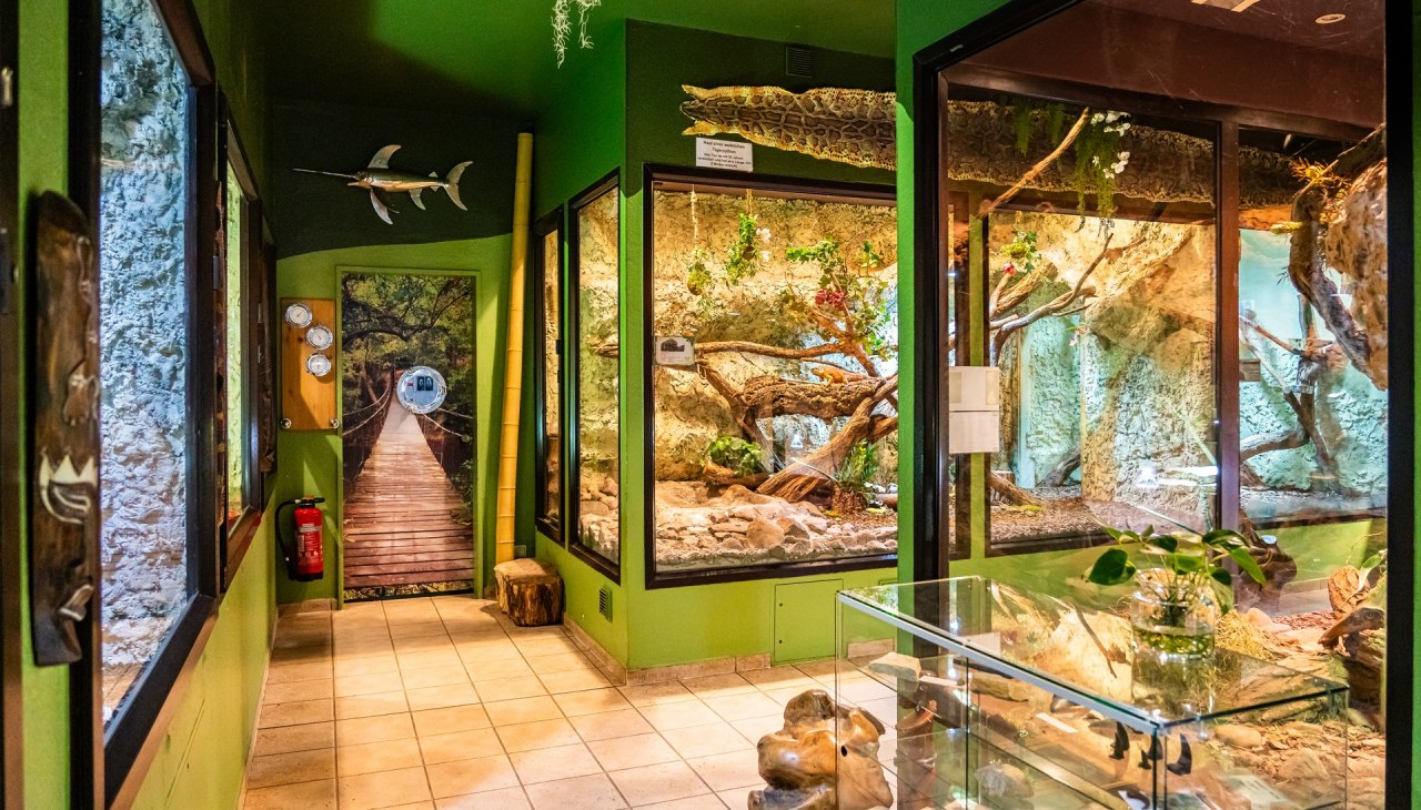 Tropikalne Zoo Bansin, © Tropenzoo_Bansin_Marcel_Piper Tropikalne Zoo Bansin, © Tropenzoo_Bansin_Marcel_Piper