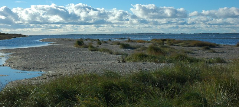 © Nationalparkamt Vorpommern © Nationalparkamt Vorpommern