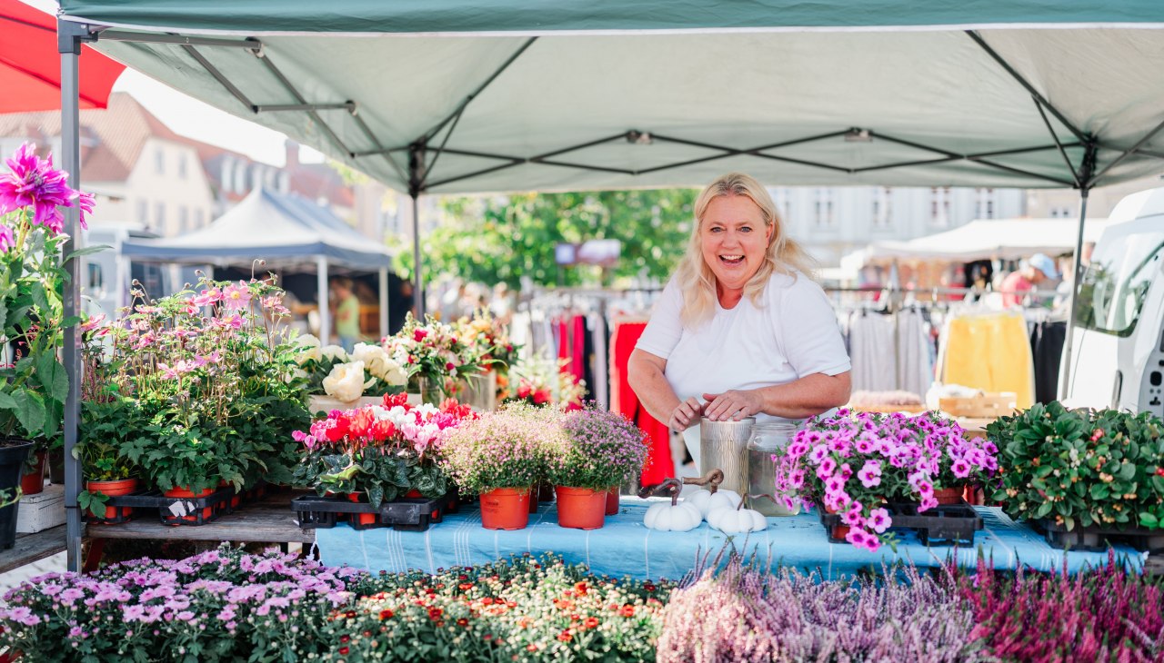 20240829-38-DSA02577-RDG1-birgitdoering, © Bernsteinstadt Ribnitz-Damagrten 20240829-38-DSA02577-RDG1-birgitdoering, © Bernsteinstadt Ribnitz-Damagrten