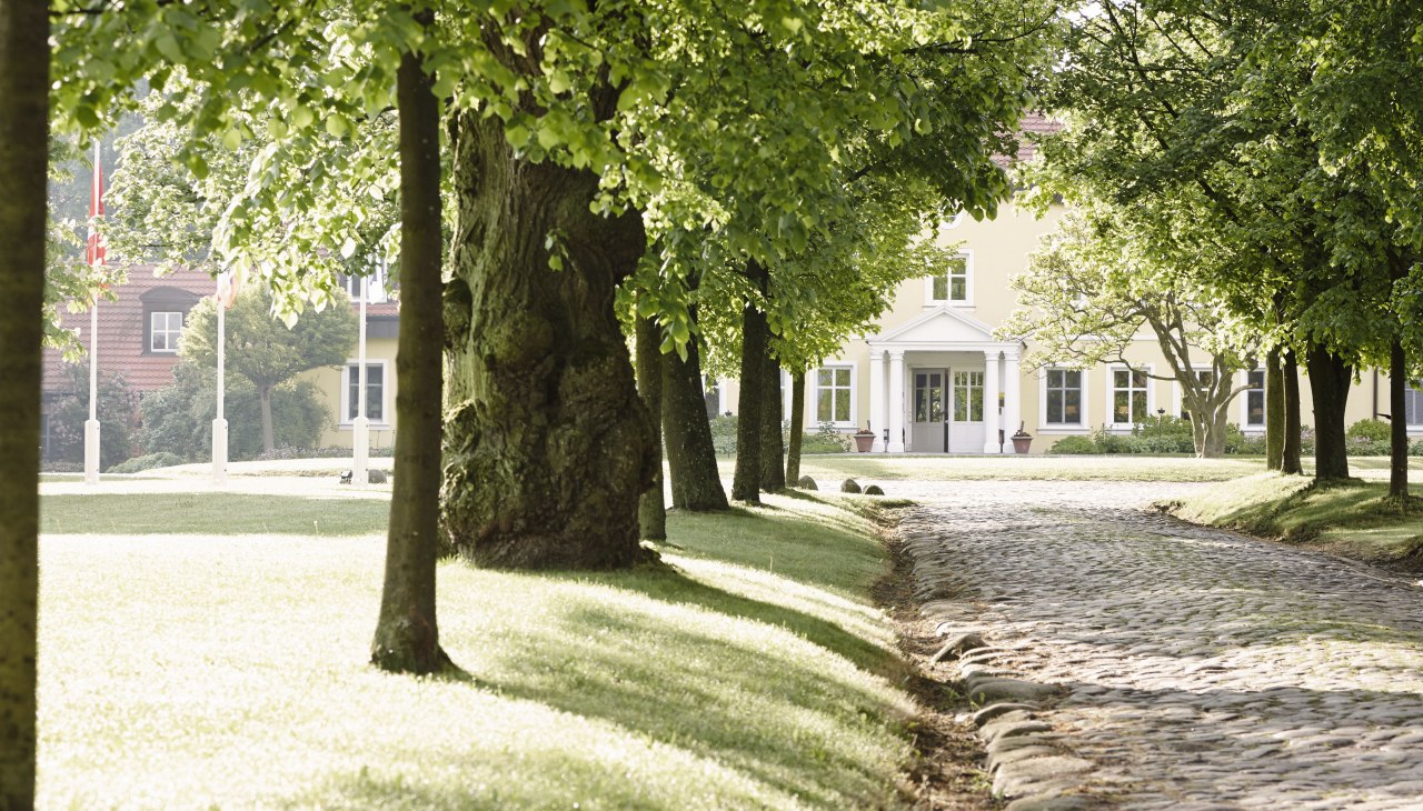 Welkom - Oprijlaan en laan naar het landhuis Stolpe, © Gutshaus Stolpe