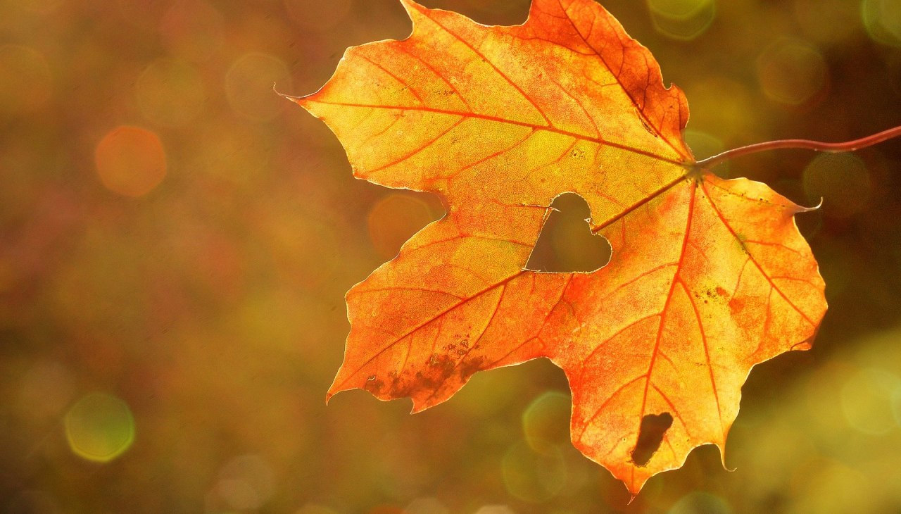Autumn time, © pixabay