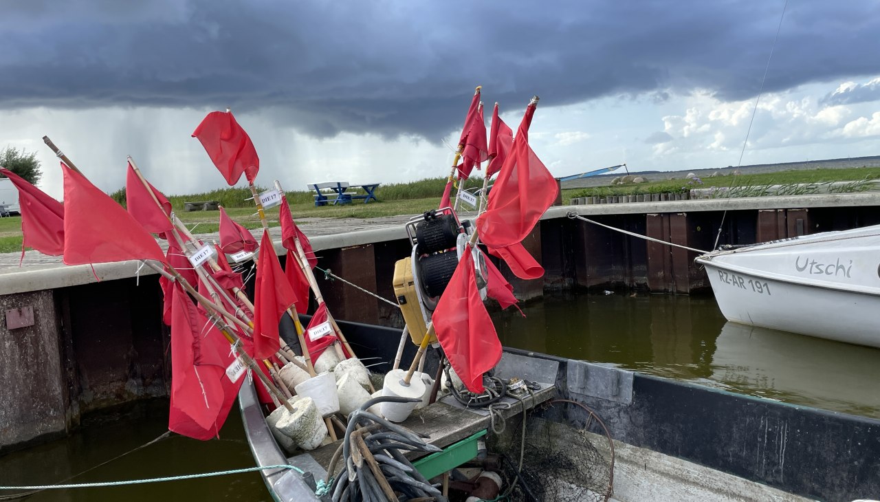 IMG_3705, © TZ Südliche Boddenküste IMG_3705, © TZ Südliche Boddenküste
