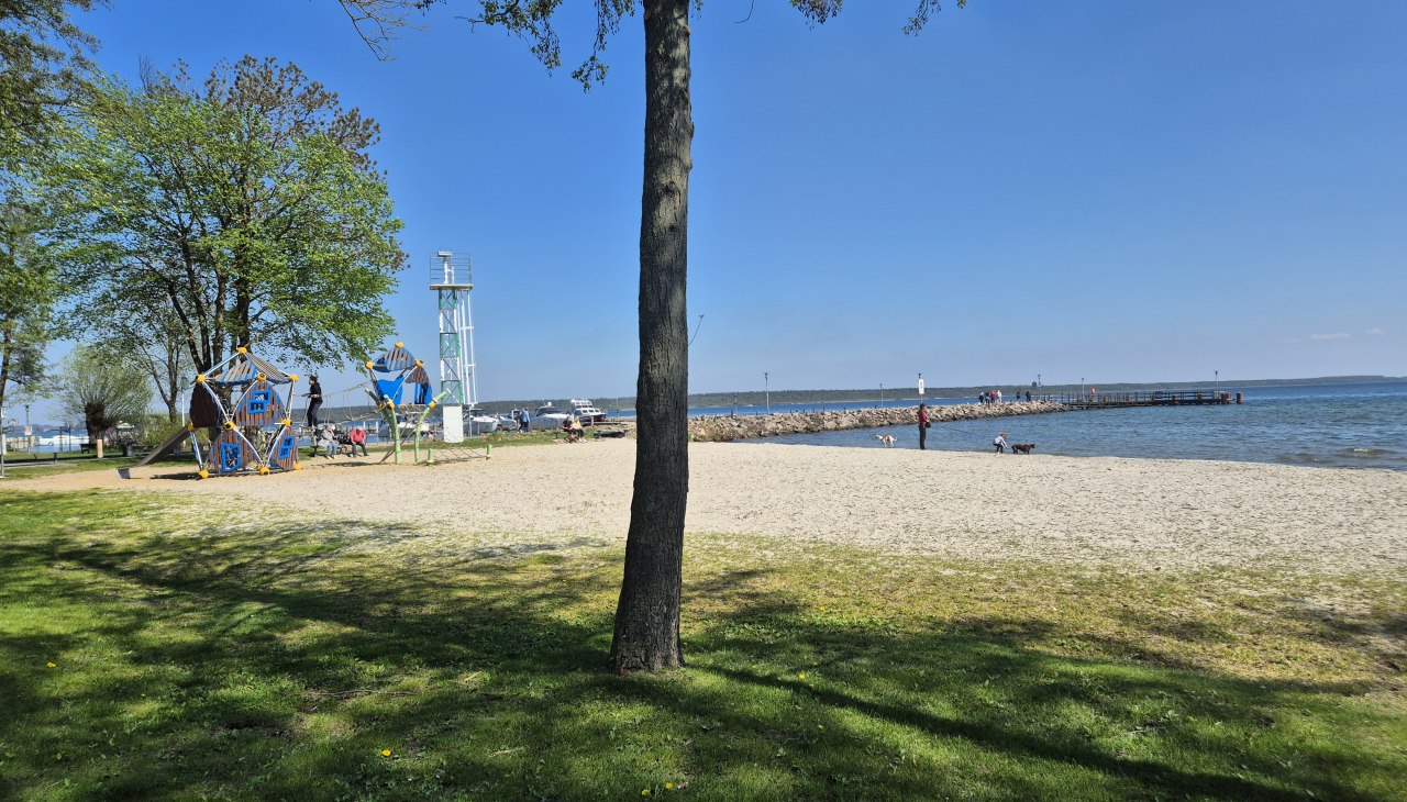 20250420_141059, © Gina Schulenberg 20250420_141059, © Gina Schulenberg