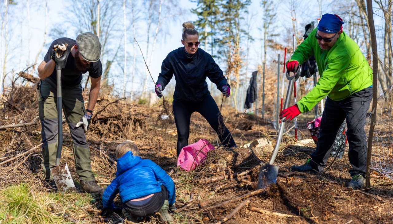 Een evenement voor het hele gezin., © Rostocker Citylauf e.V. Een evenement voor het hele gezin., © Rostocker Citylauf e.V.