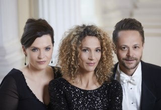 &copy; Laurence Chaperon