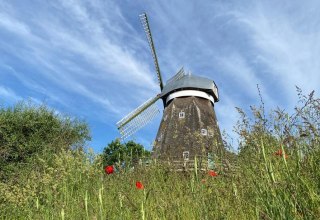 © S.Böhler © S.Böhler