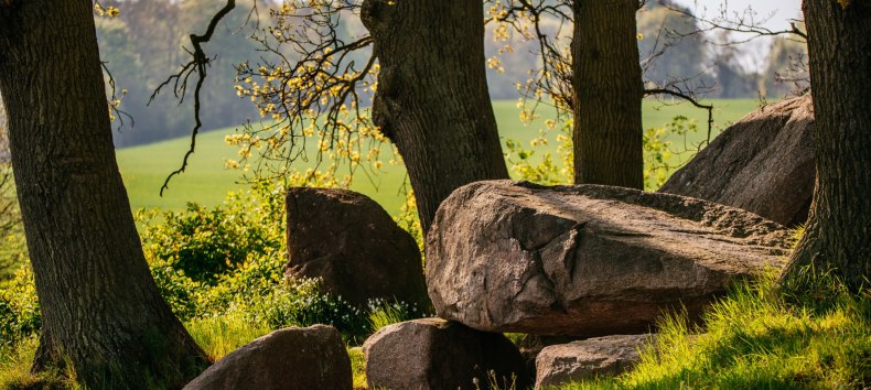 © Binzer Bucht Tourismus © Binzer Bucht Tourismus