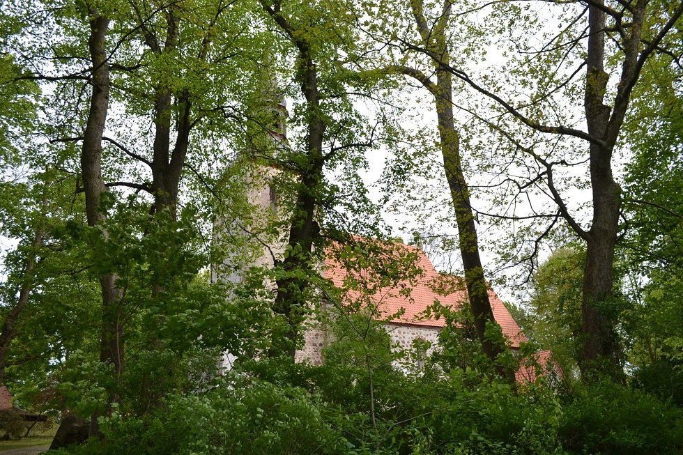 Zicht op de kerk door het park., © Lutz Werner