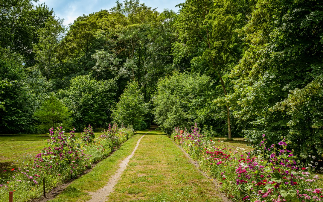 Uitzicht op de tuin van paleis Ludwigsburg, © TMV/Tiemann