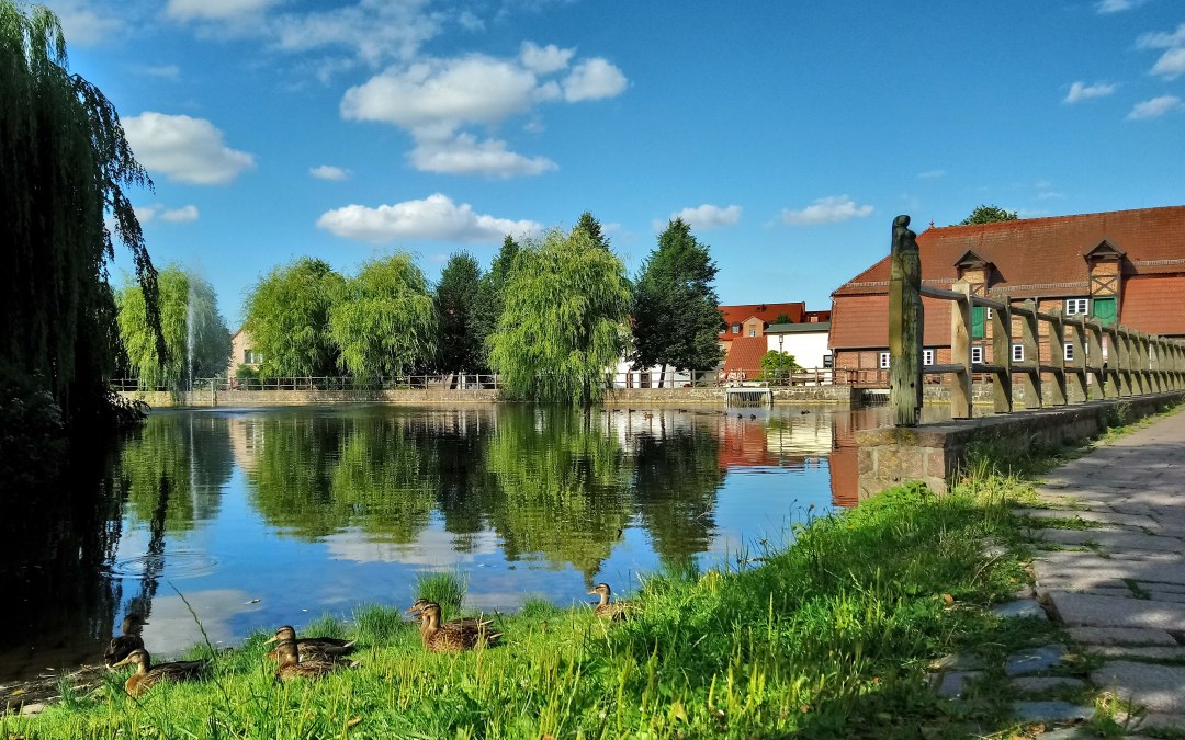 Mühlenteich und Stadtmühle Foto Koch, © Jana Koch