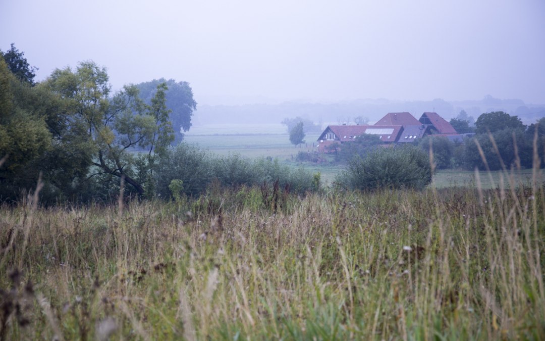 Widok na farmę projektu z miejscowości Schlakendorf, © Sarah Sandring