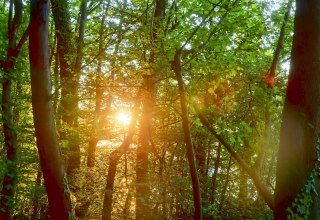 &copy; Kurverwaltung Goehren / Martin Stoever